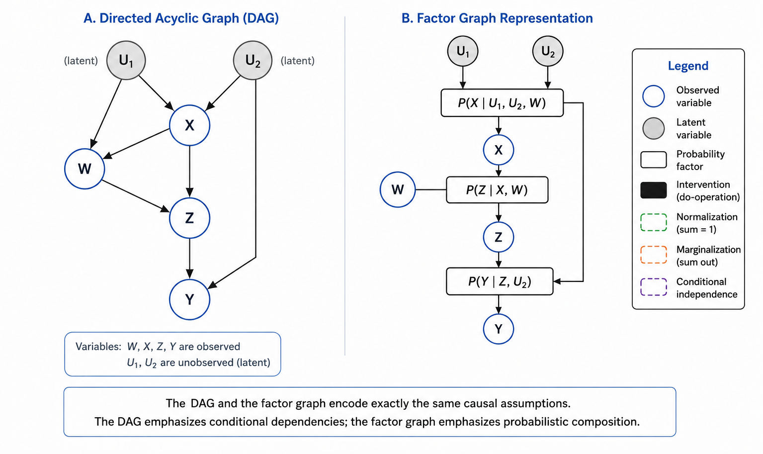 Two equivalent representations of the same causal model. Left: a directed acyclic graph with observed variables W, X, Z, Y and latent variables U1 and U2 shown as grey nodes. Right: a factor graph showing the same structure as probability factor boxes connected by variable nodes, making the conditional distributions explicit. Both encode identical causal assumptions, the DAG emphasises conditional dependencies, the factor graph emphasises probabilistic composition.